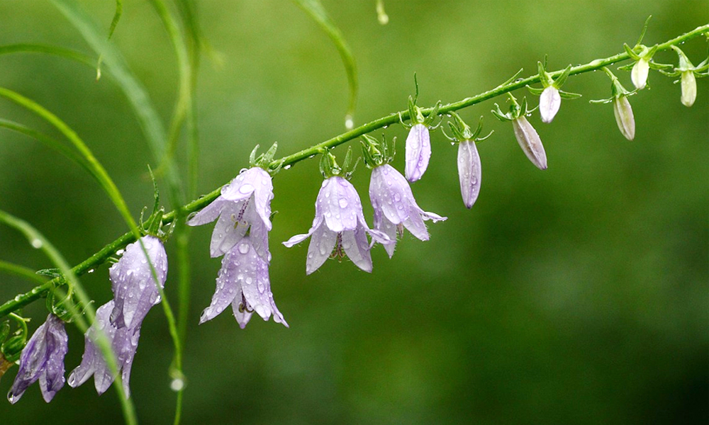 Weekly weather forecast from Monday to Sunday 